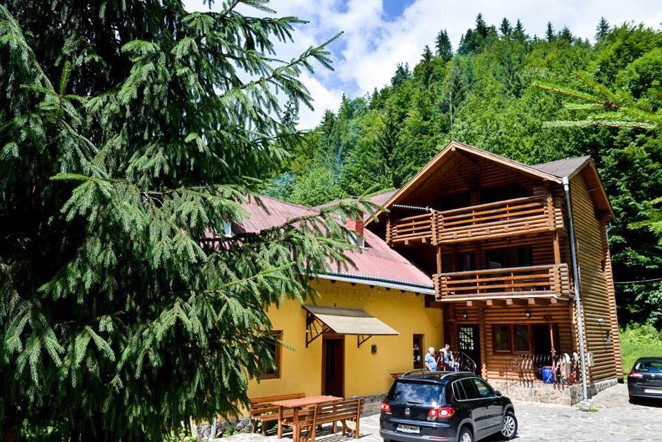 Cabana Bradul Rodna Εξωτερικό φωτογραφία