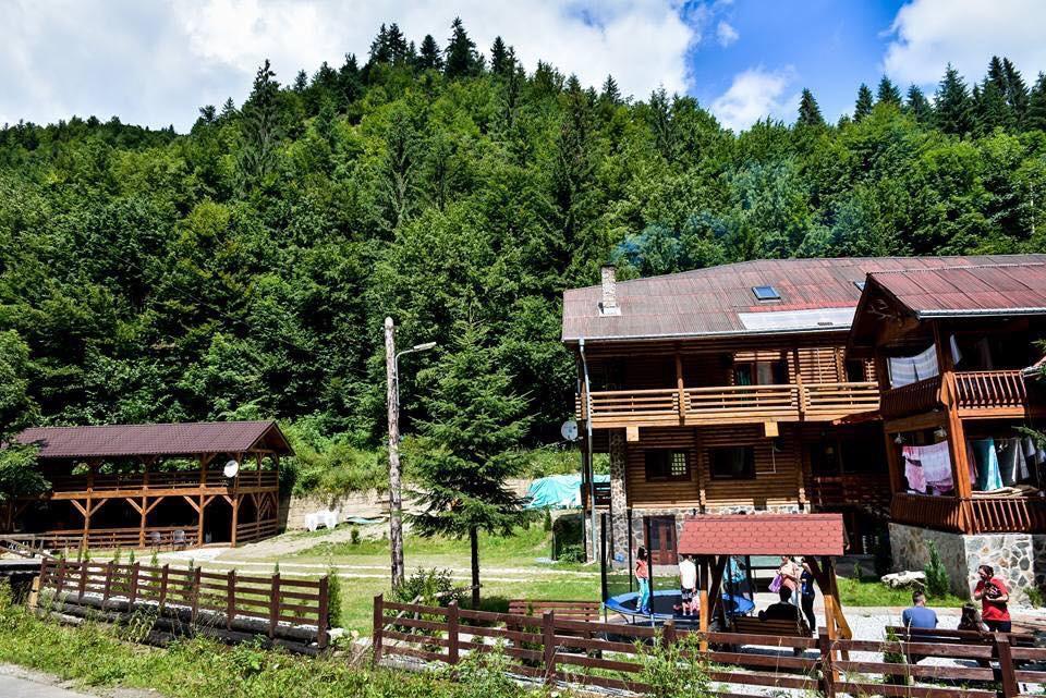 Cabana Bradul Rodna Εξωτερικό φωτογραφία