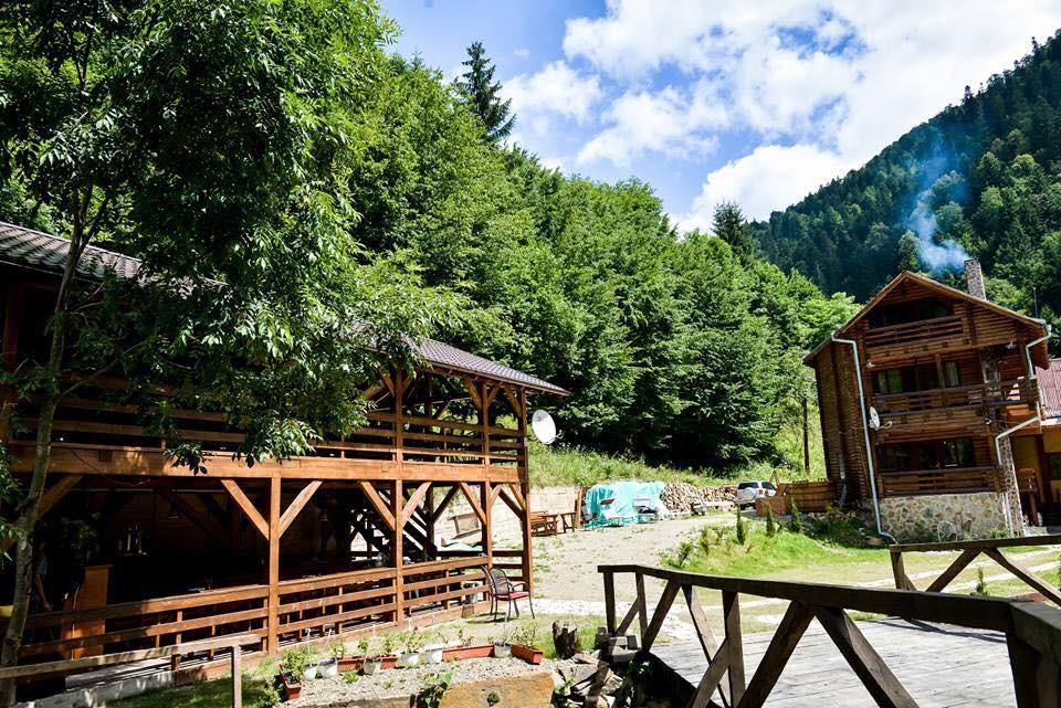 Cabana Bradul Rodna Εξωτερικό φωτογραφία